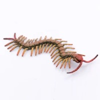 CollectA Wild Life Animals Little Wonder Insects Centipede PVC Plastic Figure Children Toys Model #88885