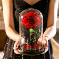 七夕情人節禮物小王子玫瑰送女生情人節生日禮物永生花玻璃罩禮盒