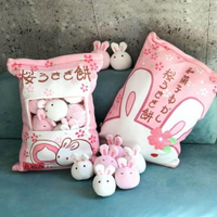 抖音同款兒童ins網紅韓國兔子餅抱枕小雞精致有趣小仙女新款居家 唯伊時尚唯伊時尚