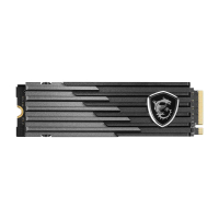 SSD 1TB MSI NVMe M.2 PCIe Gen3/Gen4 - Ổ Cứng Thể Rắn Chính Hãng Siêu Bền - Chuẩn Kết Nối M2 2280 Tối