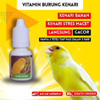 Vitamin Burung Kenari Gacor