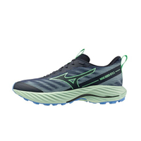 Mizuno Wave Rider Gtx 2 Wide [J1GC248051]男 慢跑鞋 寬楦 防水 緩震 深藍 綠