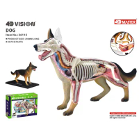 4D Vision Animal Dog Animal Organ Anatomy Model 29 Parts Detachable Medical Science Teaching Supplies