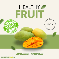 Bibit Mangga Gadung/ Harum manis/ arum manis Segar Genjah Super original bisa berbuah dalam pot Supe