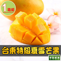 【享吃鮮果】台東特級夏雪芒果1箱(2.4公斤±10%/箱/約4-8顆)