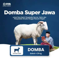 Qurban Domba Super bobot ± 26 kg