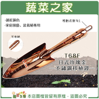 【蔬菜之家009-B55】日式玫瑰金不鏽鋼移植鏝(T68F)