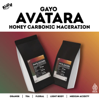 Biji Kopi 100% Arabica Gayo Avatara Honey Carbonic Maceration Process Single Origin Specialty Coffee