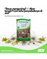 Pupuk Tsp Fertiphos Pak Tani Pupuk Dasar Tanaman Repack 1 Kg