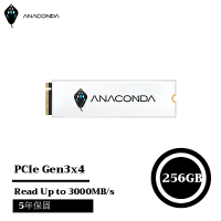 ANACOMDA 巨蟒 i3 256G PCIe Gen3x4 NVMe SSD固態硬碟