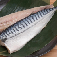 【真食小市集】挪威薄鹽鯖魚片 2XL 200g±10%/片*1片組(99%無刺)
