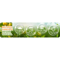 INFARM - Paket Hidroponik 48 Lubang Premium Starter Kit Super Lengkap Dengan Bak Hidroponik Netpot R