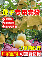 桃子套袋專用袋防鳥防蟲神器水蜜桃揚桃黃桃專用網袋水果樹紙袋子