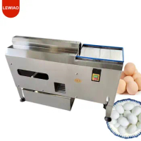 Fresh Egg Washing Machine Egg Shell Cleaning Machine Automatic Egg Cleaner