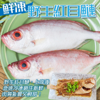 (滿額)【海陸管家】嚴選野生紅目鰱1隻(每隻約150g)