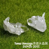 巴西Tomas Gonzaga清透水晶簇210425-20號(共2個一起飛) 白水晶簇 晶簇 靜心 🔯聖哲曼🔯