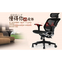 Ergohuman Enjoy121 企業版 含組裝、免運費、多色可選