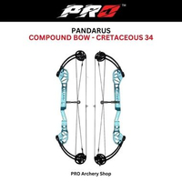 PANDARUS COMPOND BOW | BUSUR KOMPON | BUSUR COMPOUND PANAHAN | ALAT PANAHAN Merah