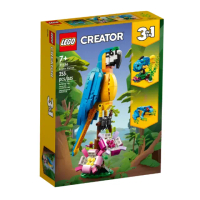 【LEGO 樂高】Creator 創意系列 - 異國鸚鵡(31136)