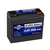 LiFePO4 Battery 12V 20Ah 12Ah 10Ah With BMS 12.8V LiFePO4 Battery Pack Lithium Battery