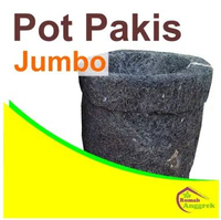 Pot Pakis Jumbo anggrek tanaman hias dewasa dendrobium gramma grammatophyllum serabut akar paku-paku