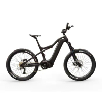 27.5 inch 29 inch 48V 1000w carbon full suspension bike 17.5ah electric bicycle with bafang G510 Motor