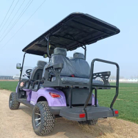 CE Approved American Made 2 &amp;4 Seat Battery Powered Beach Resort Electric Aluminum Golf Cart And Controller