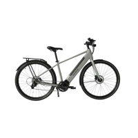 【DOSUN】電動輔助自行車 CTPRO 18吋水泥灰(車麗屋)