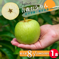 【果樹寶石】日本青森王林蘋果特大果8顆x1盒（2.9KG±10%/盒）（350G±5%/顆）(細膩多汁、高甜近乎零酸)