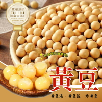🔆頂級加拿大進口黃豆 600克 非基改黃豆 加拿大《非基因改造黃豆》黃豆 非基因改造 600克 豆漿