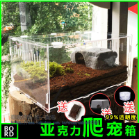 爬蟲飼養盒寵物箱透明蜥蜴蟋蟀爬寵造景箱