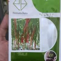 Benih Bibit Cabai Keriting Vitra 10 gram Produk Permata Baru | Benih Cabe Keriting