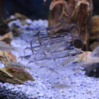6/10 Pcs/set Transparent Acrylic Breeding Tube Fish Tank Cave Aquarium Shelter Shrimp Spawn Hide Ornament Fish Tank Ornaments