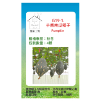 【蔬菜工坊】G19-1.芋香南瓜種子