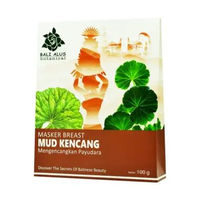 Masker Breast Mud 100 g