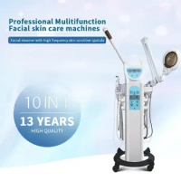10 In 1 Multi-Functional Beauty Salon Face Spa Machine Facial Steamer Machine With Magnifying Lamp