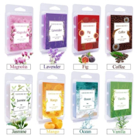 8Pieces Scented Wax Melts Festive Gift for Holiday Christmas Gift Boxes