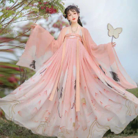 Princess Carnival Fairy Hanfu Costumes Chinese Traditional Han Dynasty Floral Print Performance Folk Dance Dress Cosplay Wear