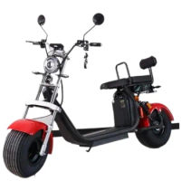 Electric Scooter EEC Approved Fat Tire E Bike 1500W 45km/h City Sport E Motorcycle