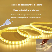 Outdoor waterproof High Brightness LED Strip light AC220V Flexible LED Light Strip Yellow Warm Yello