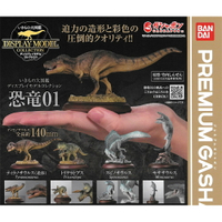 全套4款【日本正版】生物大圖鑑 展示模型 恐龍 P1 扭蛋 轉蛋 恐龍模型 動物模型 BANDAI 萬代 - 120250