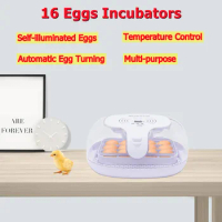 16 Eggs Incubator Automatic Egg Turnover Temperature Control Multifunctional Household Egg Incubator