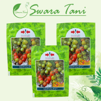 Q&J Benih Tomat Servo F1 1750 Butir - Cap Panah Merah Original SaleFa593