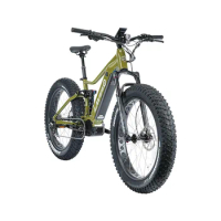 26inch Fat ebike mountain softtail bike BAFANG m620 mid motor front and rear dual air shock EMTB 48v 1000w fat E-bike