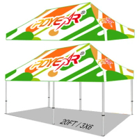 RTS free Design 3X6 Trade Show canopy Aluminium Custom event marquee tent outdoor folding10x20 canopy tent