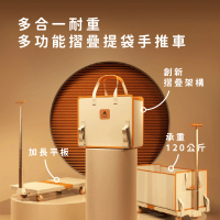 BUERK 多合一耐重多功能摺疊提袋手推車(板車/買菜/購物/野餐/收納箱/靜音滾輪)