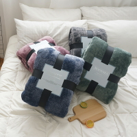 單層加厚法蘭絨毛毯純色單人臥室蓋毯禮品珊瑚絨毯