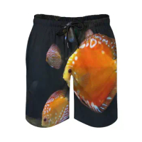Brain Patterns On Me. Men'S Sport Running Beach Shorts Trunk Pants With Mesh Lining Trunks Shorts Fish Nature Discus Fish Beach