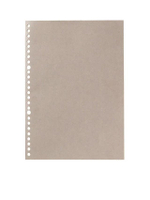 NOTEBOOK TYPE LOOSE LEAF GY B5