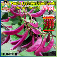 เมล็ดพันธุ์ ถั่วแปบหูข้าง Purple Red Eyebrow Bean Seeds 20เมล็ด/แพ็ค ของแท้ 100% ปลูกง่าย อัตรางอกสู
